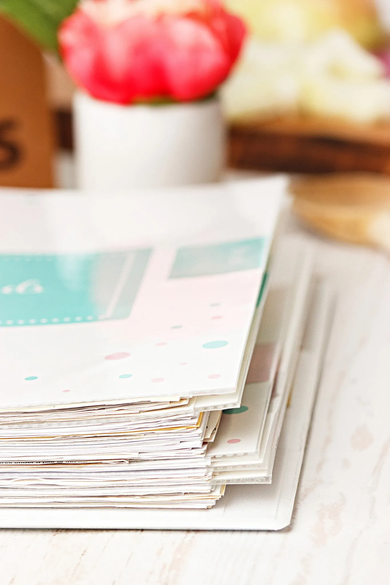 Real Organized Recipe Organization Mini Set